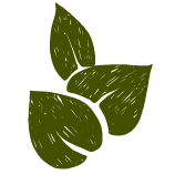 Bio-Qualität